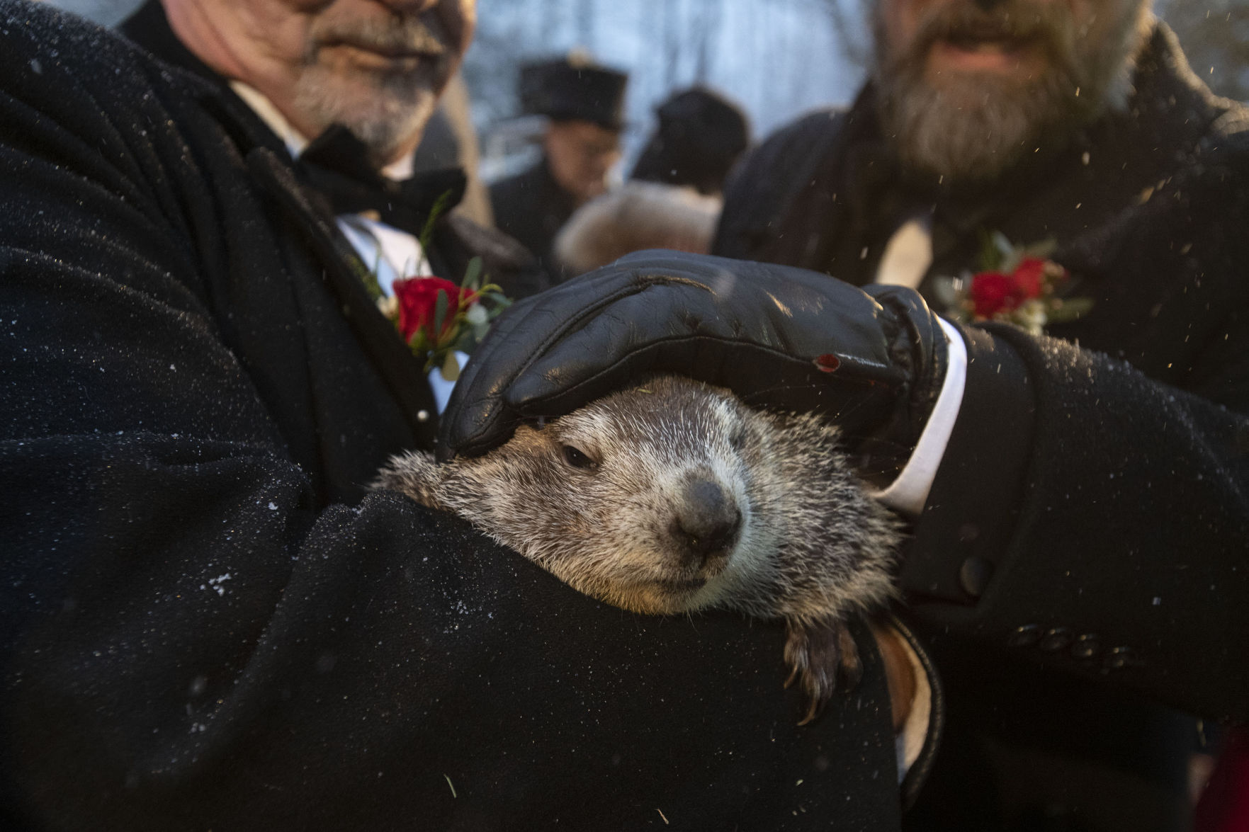 APTOPIX Groundhog Day